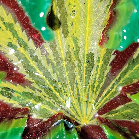 Epoxy Art Rasta - Picture 12 of 12